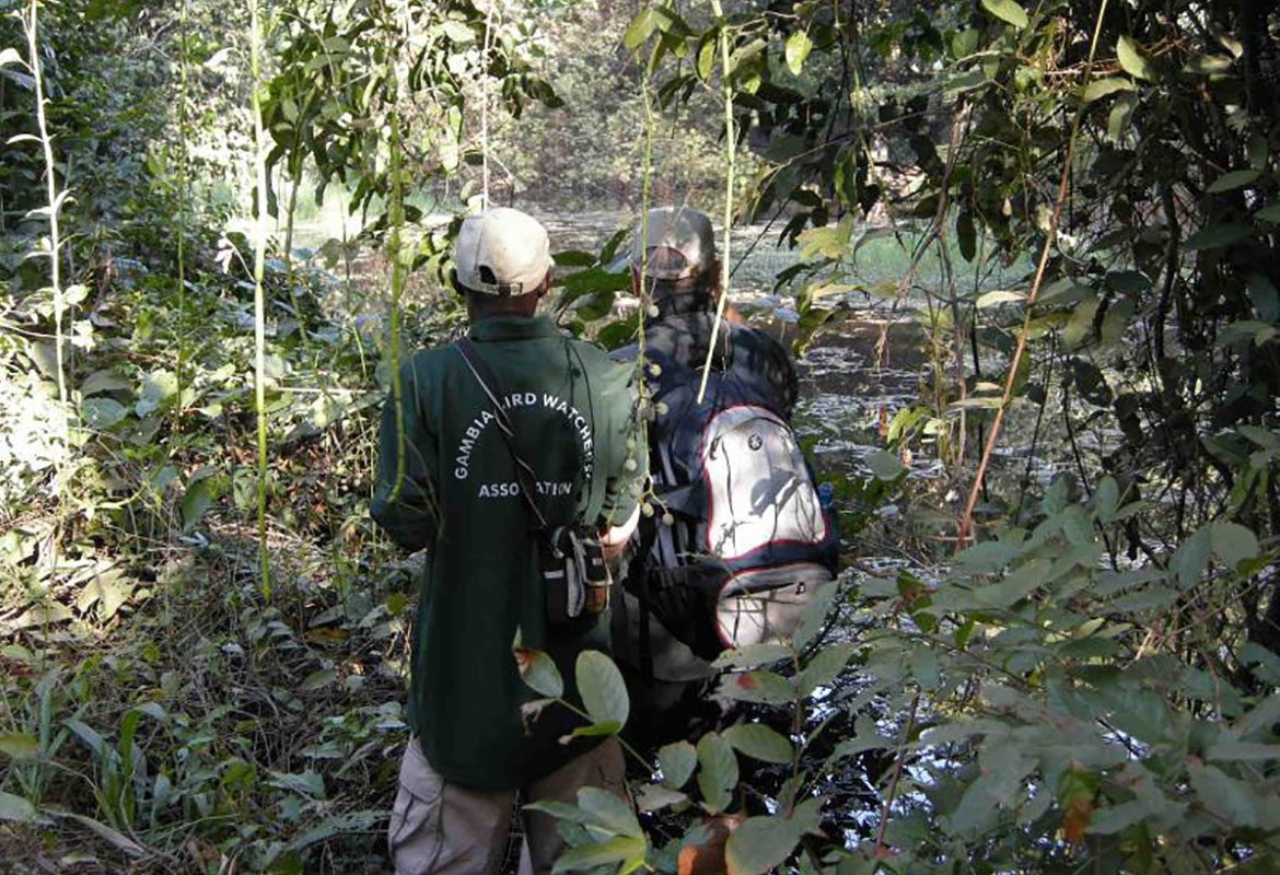 Abuko Nature Reserve