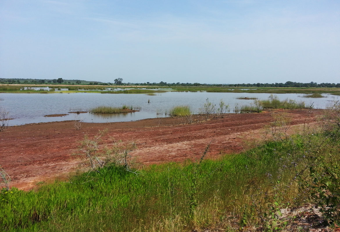 Kaur Wetland